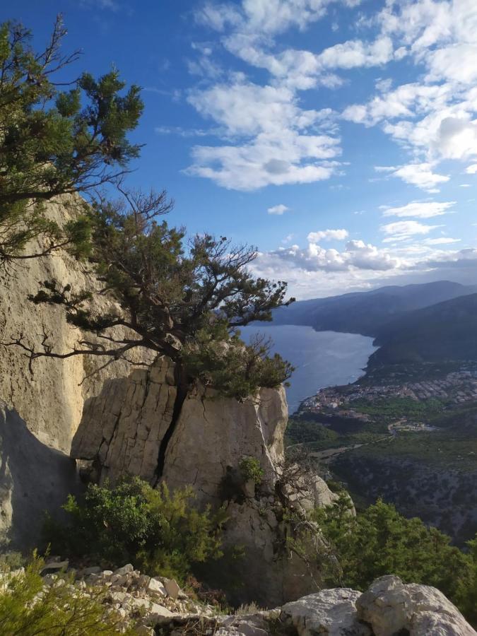 Appartamento A 50 Mt Dal Mare Cala Gonone Exteriér fotografie